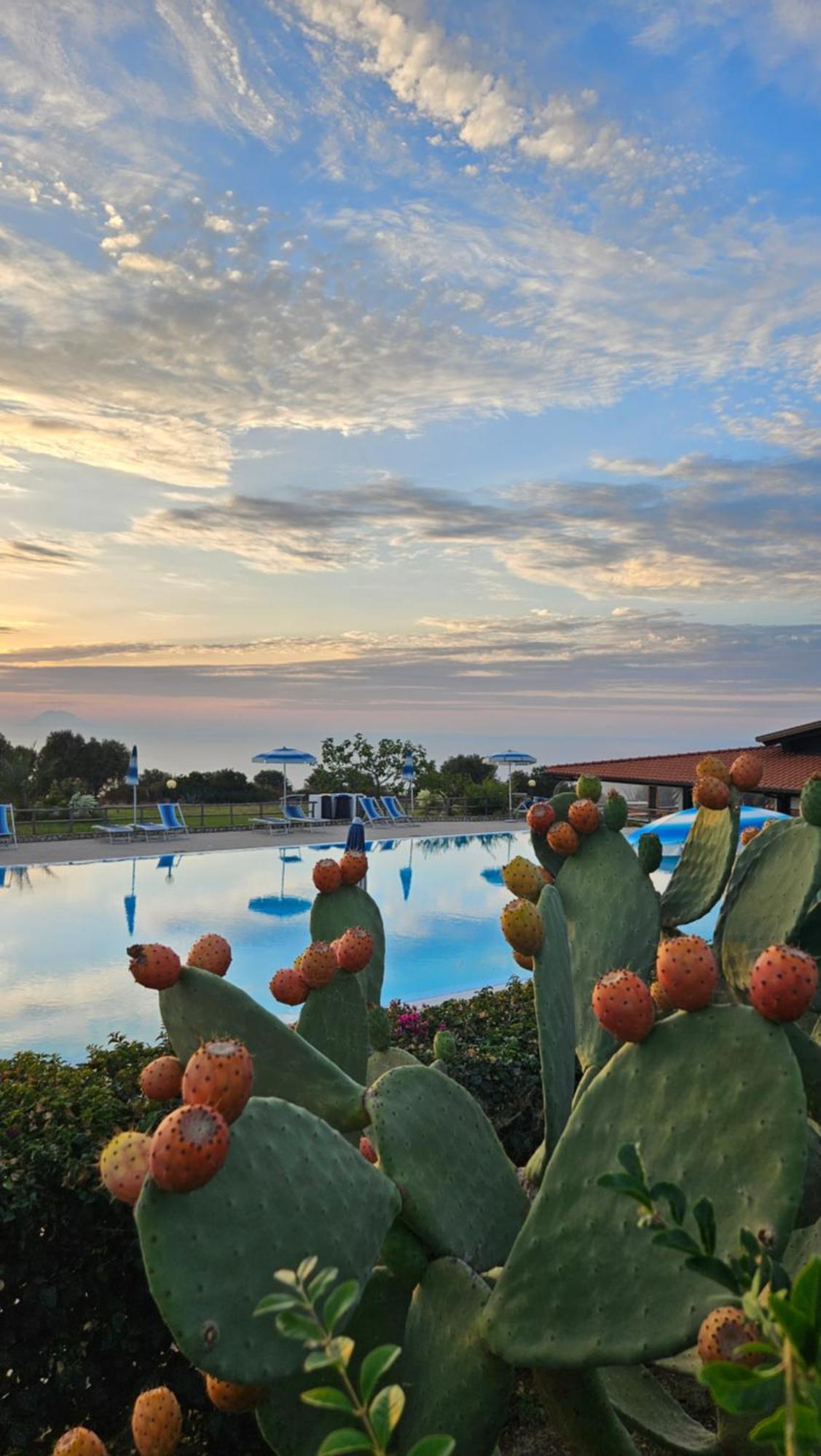 Agriturismo Ninea Ricadi Exterior foto